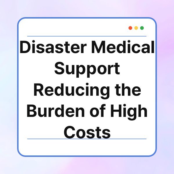 disaster medical support reducing the burden of high costs