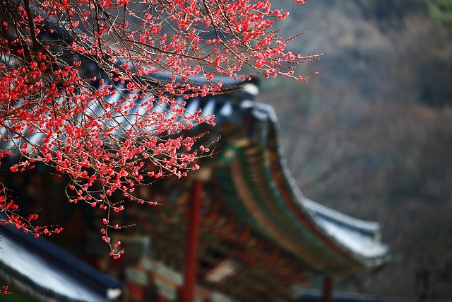 Korea business liability insurance - Insurance