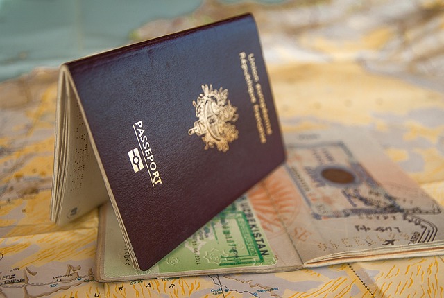 Korea insurance for marriage visa F-6 - Insurance