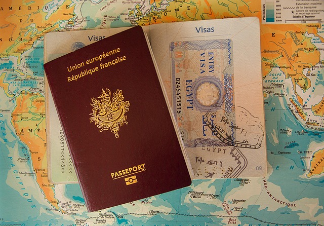 Korea travel insurance for visa application - Insurance
